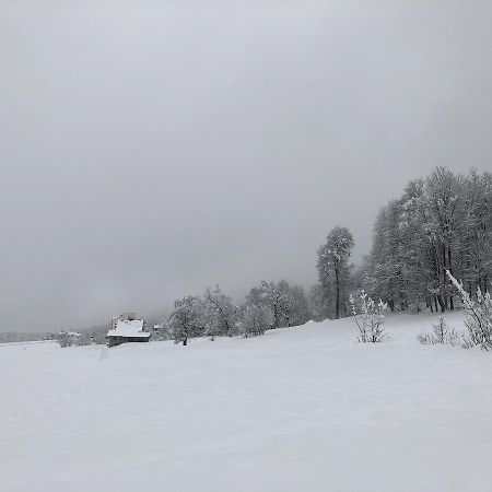 Cottage In Bakuriani Eksteriør billede